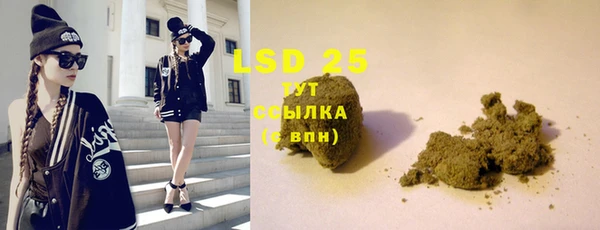 хмурый Абаза