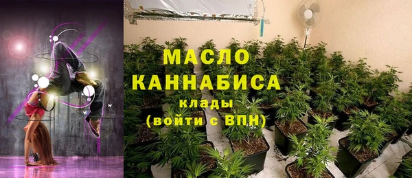 хмурый Абаза