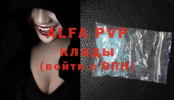 хмурый Абаза