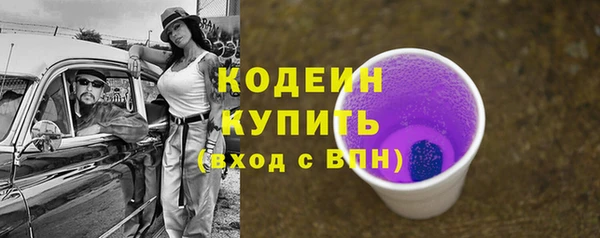 хмурый Абаза