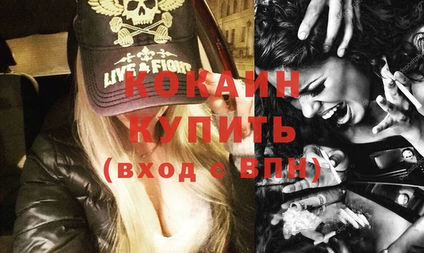 индика Волосово